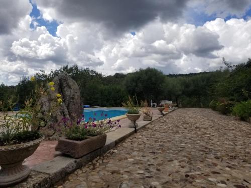 SorgonoB&B Casa Vacanza Centro Sardegna的游泳池旁一排盆盆栽植物