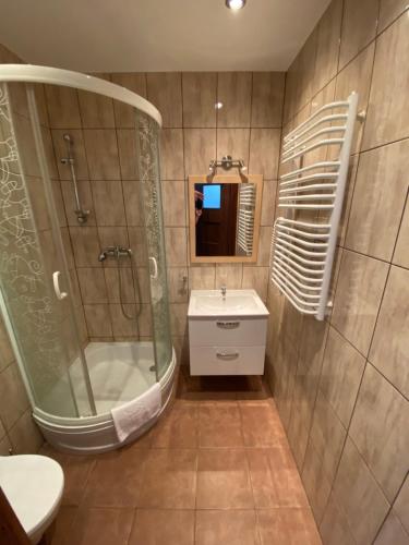 斯克拉斯卡波伦巴Villa Bożena的带淋浴、盥洗盆和镜子的浴室