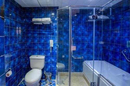 艾因苏赫纳Porto El Jabal Hotel的蓝色瓷砖浴室设有卫生间和淋浴。
