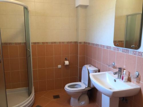 索科矿泉村Apartman Mijailović 2的浴室配有卫生间、盥洗盆和淋浴。