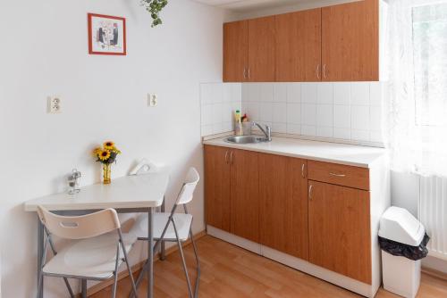 Podhájska - Apartmány Pod Orechom的厨房或小厨房