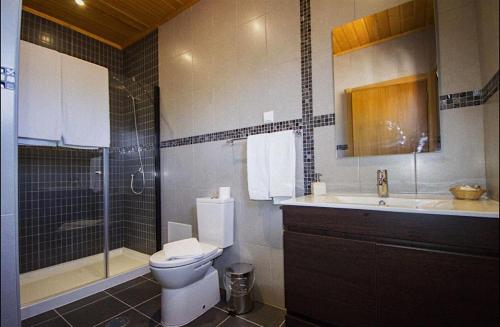 CortelhaCasa De Campo Cantinho Da Serra的浴室配有卫生间、盥洗盆和淋浴。