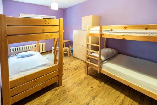 卡托维兹Jopi Hostel Katowice Centrum的配有两张双层床的客房,拥有紫色的墙壁和木地板