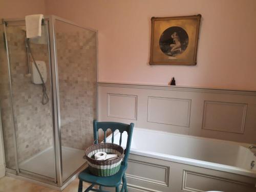 韦斯特波特Croagh Patrick Lodge Apartment的带浴缸、椅子和浴缸的浴室