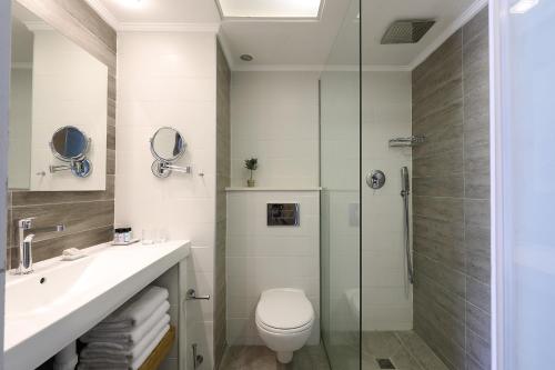 莫沙夫拉莫特拉莫特度假酒店的带淋浴、卫生间和盥洗盆的浴室