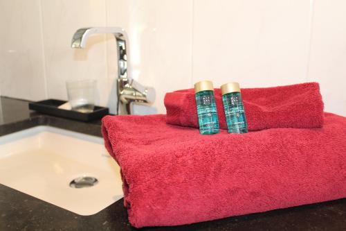 BierbeekB Apartment的浴室提供2条红色毛巾和水槽。