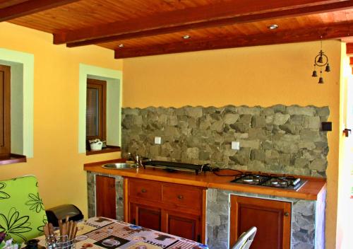 乌帕河畔斯沃博达Chata U lesa的厨房设有石墙和炉灶。