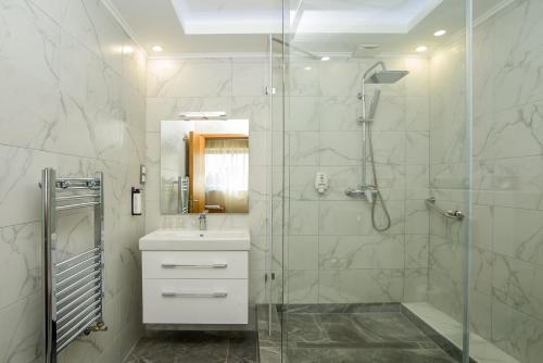 布达佩斯布达佩斯玛拉玛拉酒店的一间带水槽和玻璃门淋浴的浴室