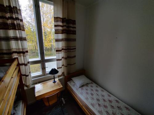 ÄkäsjoensuuHuoneisto Äkäsjokisuu - Lapin Linna的一间小卧室,卧室的床铺位于窗户旁