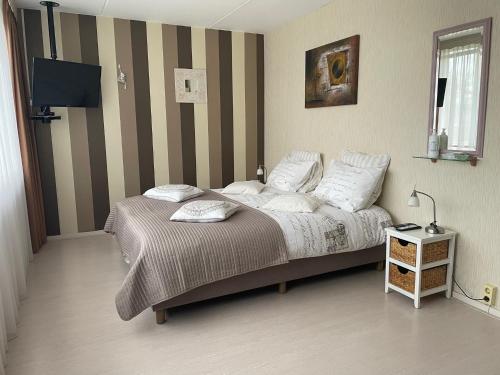 斯哈亨De Spiegel的一间卧室配有一张床和一台电视