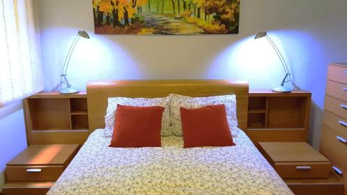 毕尔巴鄂habitación, salita y baño privado, REATE LBI00466的一间卧室配有一张带红色枕头的床和两盏灯。