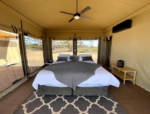 MorganEco-suites with scenic views & walking trails的一间卧室配有一张床和吊扇