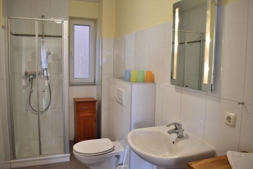 斯塔贝多福Fehmarnstrand 78 App 14的浴室配有卫生间、盥洗盆和淋浴。