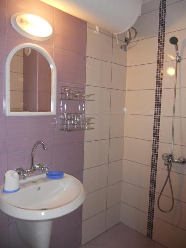 阿赫托波尔Стаи под наем "Таня"- безплатен паркинг на 100 метра的一间带水槽和淋浴的浴室