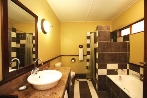 伯格维尔桑福德公园乡村酒店 的一间带水槽、浴缸和卫生间的浴室