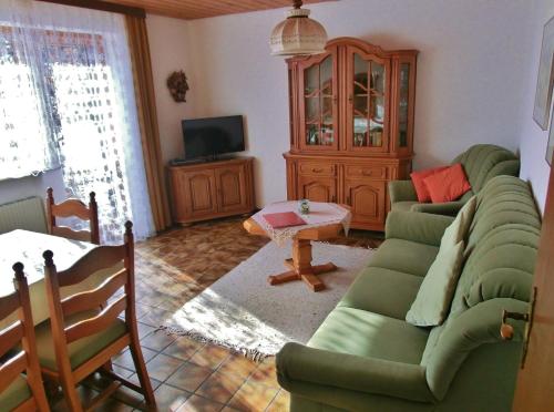 奥夫特尔施旺Mädelegabel的客厅配有绿色沙发和电视