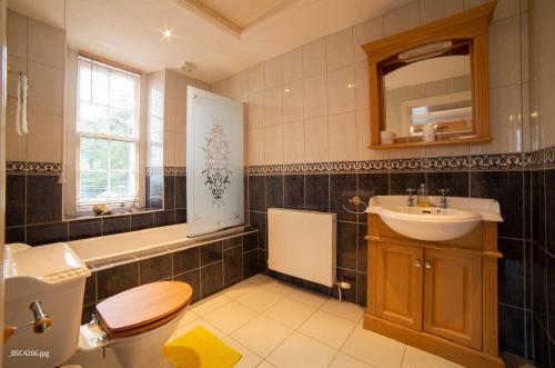 道格拉斯Ravenscliffe Lodge的一间带水槽、卫生间和镜子的浴室