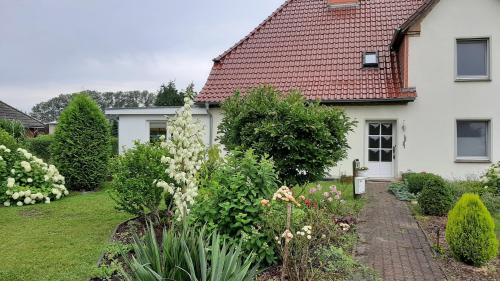 SabelFerienwohnung im Zanderhaus的白色房子前面的花园