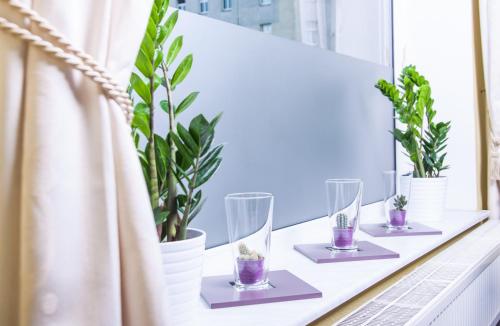 柏林Hotel-Pension ODIN的窗台,带四杯玻璃和盆栽植物