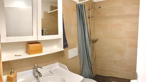 芳德讷梅隆Le Gîte du Midi的一间带水槽和淋浴的浴室