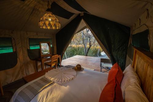 马翁Boteti Tented Safari Lodge的相册照片