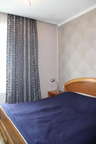 第比利斯Ann's Apartment的一间卧室设有蓝色的床和窗户。