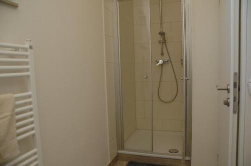 Neu KlockenhagenFerienwohnung "Westfalen"的带淋浴的浴室和玻璃门