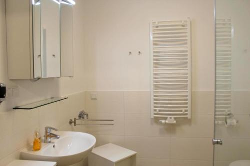 奥茨塞巴德·迪尔哈根Lachmöwe App 35的一间带水槽、卫生间和淋浴的浴室
