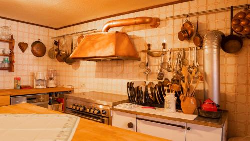 马克特奥伯多夫Landvilla Theresien-Gut, 20 - 25 Personen的厨房配有炉灶和带餐具的台面。