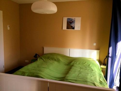 FriedenstalMahari的卧室内的一张带绿色棉被的床