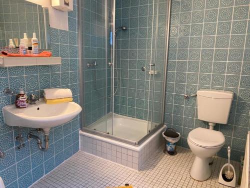 海利根港Altstadthaus zur Weide的浴室配有卫生间、淋浴和盥洗盆。