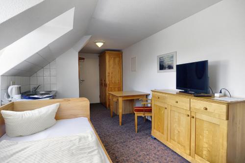 青斯特Altes Wasserwerk, App 5的小房间设有床和电视