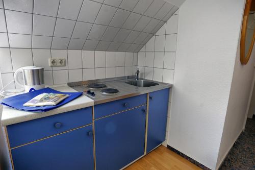 青斯特Altes Wasserwerk, App 5的一个带水槽和蓝色橱柜的小厨房
