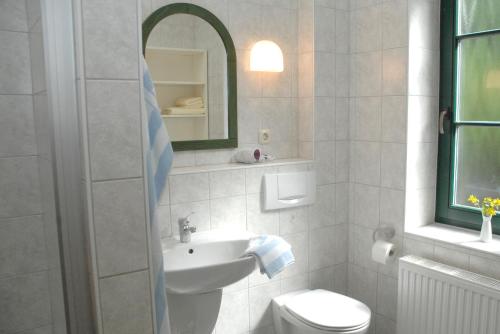 Neu KlockenhagenFerienwohnung "Stralsund"的一间带水槽、卫生间和镜子的浴室