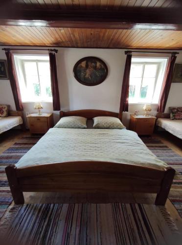 克拉斯纳利帕Cafe Nostalgie čtyřlůžkový apartmán的一间卧室设有一张大床和两个窗户。