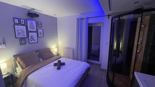 多勒Bienvenue chez vous "appartement classé 2 étoiles en RDC avec espace extérieur et parking"的一间卧室配有一张带横跨床的卧室