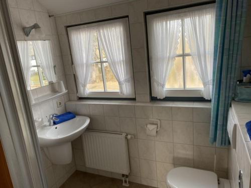 博恩Ferienwohnung Nr 02 OG Spitzboden的一间带水槽和卫生间的浴室以及两个窗户。