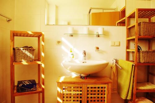 卡尔斯哈根Pepes Ferienwohnung的一间带水槽和镜子的浴室
