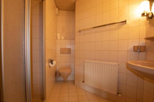 奥贝劳Christof,s Ferienwohnung WILD230的一间带卫生间和水槽的浴室