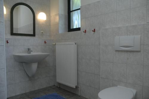Neu KlockenhagenFerienhaus "Shetlandpony"的一间带水槽、卫生间和镜子的浴室