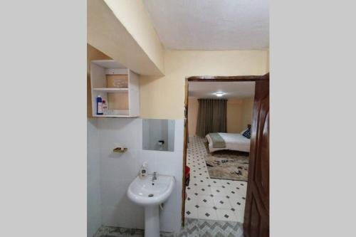 KisiiLass Grove Home的一间带水槽的浴室和一间带床的房间