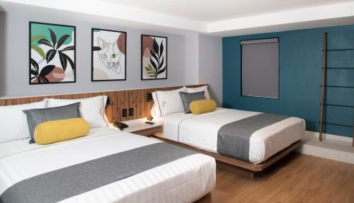 墨西哥城Hotel Flamencos的蓝色墙壁客房的两张床