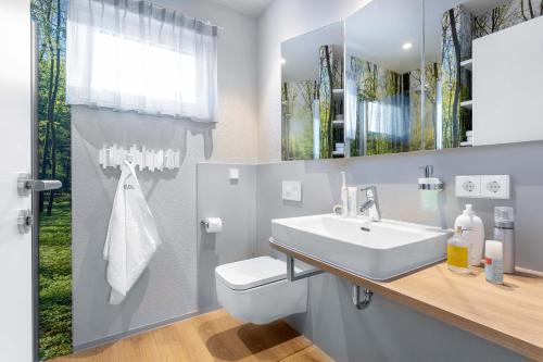 索嫩比赫尔albspace的一间带水槽、卫生间和镜子的浴室