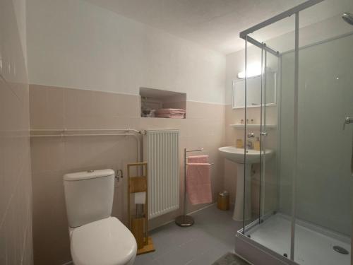 BurdigninGîte Vallée Verte的浴室配有卫生间、淋浴和盥洗盆。