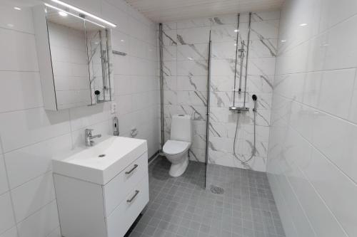 坦佩雷The Cutest Studio in Central Tampere的浴室配有卫生间、盥洗盆和淋浴。