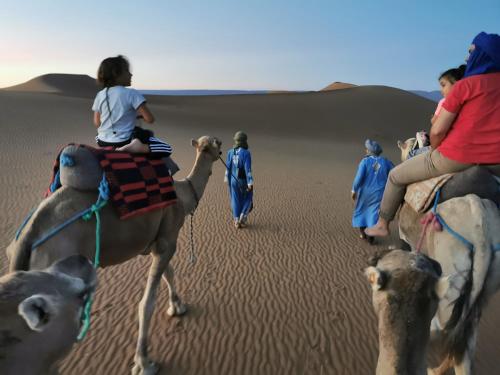 El GoueraBivouac Erg Chegaga Nomademoi的一群人骑着骆驼在沙漠中