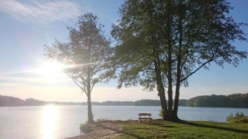 WittenbornSchlaffass的两棵树之间的长凳,位于湖边