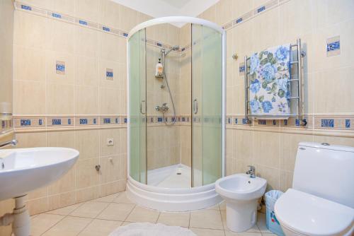 克莱佩达Tako Baras的带淋浴、卫生间和盥洗盆的浴室