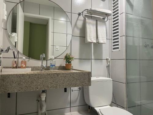 巴雷里尼亚斯Barreirinhas Lençois Flat的一间带卫生间、水槽和镜子的浴室