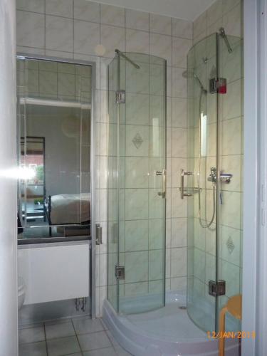 伦茨堡Ferienwohnung Tietgen的带淋浴的浴室和玻璃门